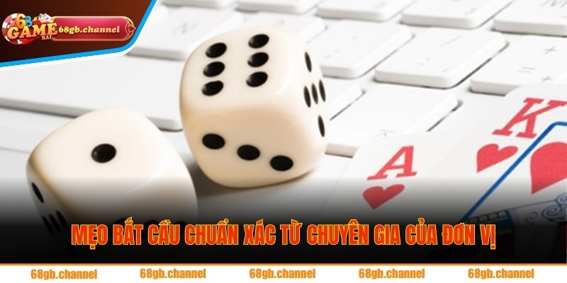 Các Loại Cầu Phổ Biến Nhất Tại 68GB Để Hội Viên Đặt Cược 3 Mẹo bắt cầu chuẩn xác từ chuyên gia của đơn vị